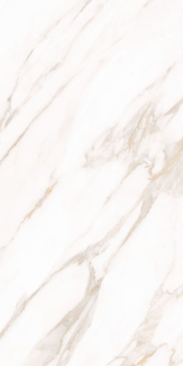 Classy Warm White Matte 24 x 48